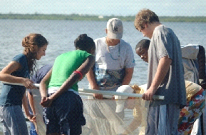 Kids A group of students participate in a water quality study, examining a net filled with samples collected from the bay. Educational field trip, environmental science.