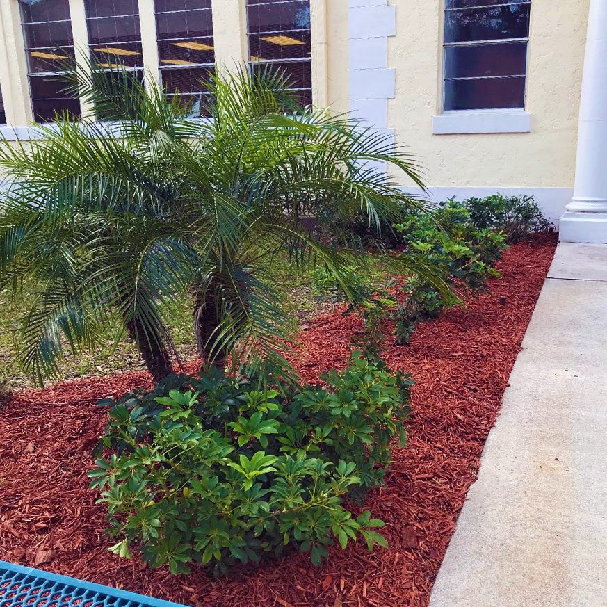 Landscaping
