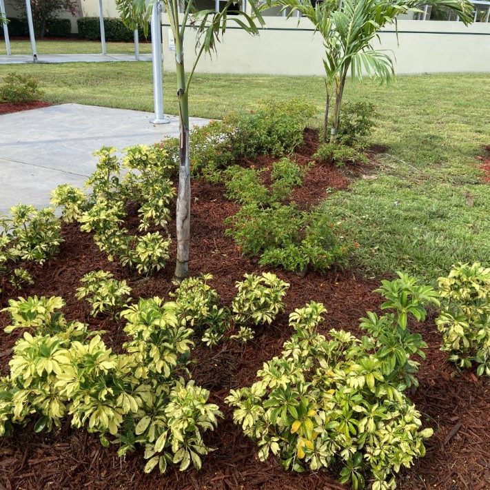 Landscaping
